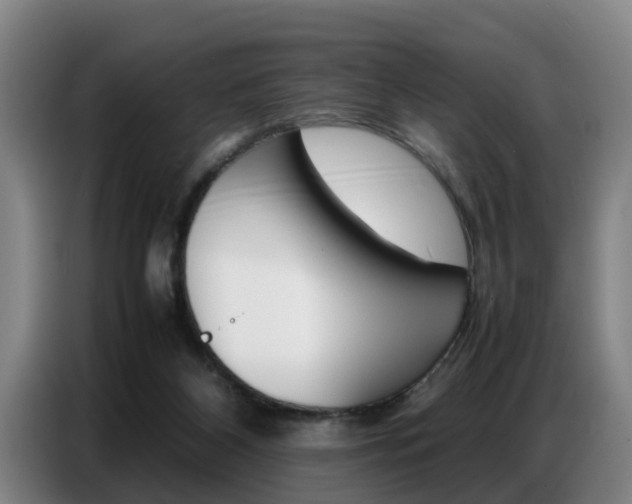 X0000087320116200704200747