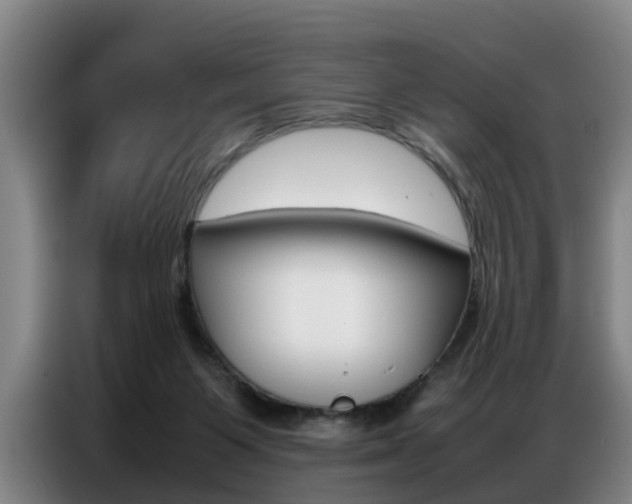 X0000087320119200704200747