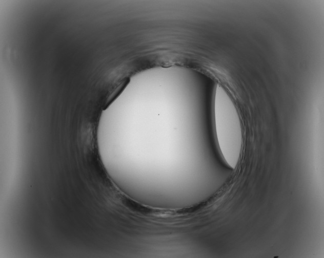 X0000087320121200704200747