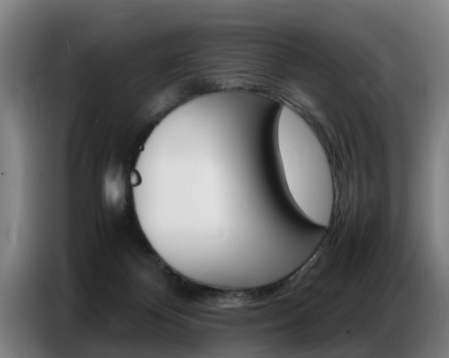 X0000087320124200704200747
