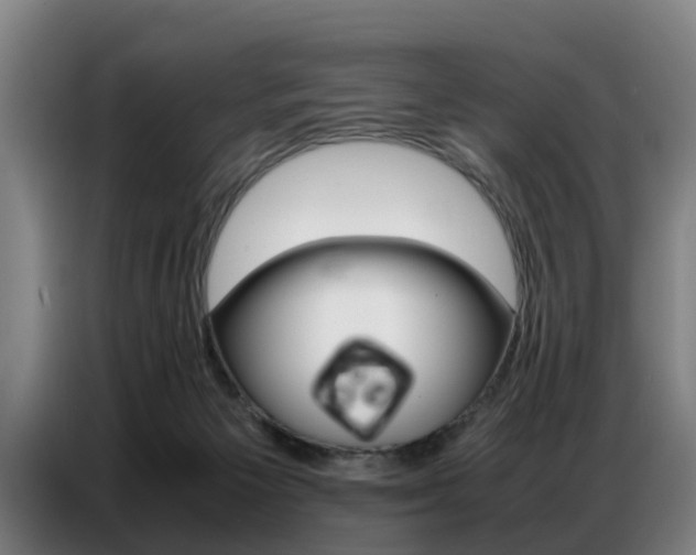 X0000087320125200704200747