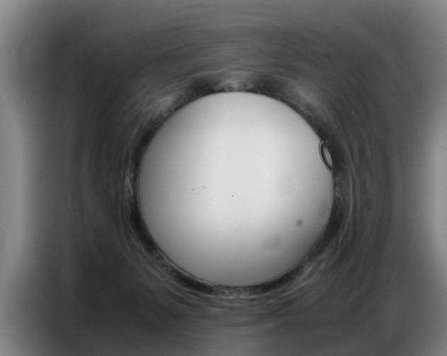 X0000087320127200704200747