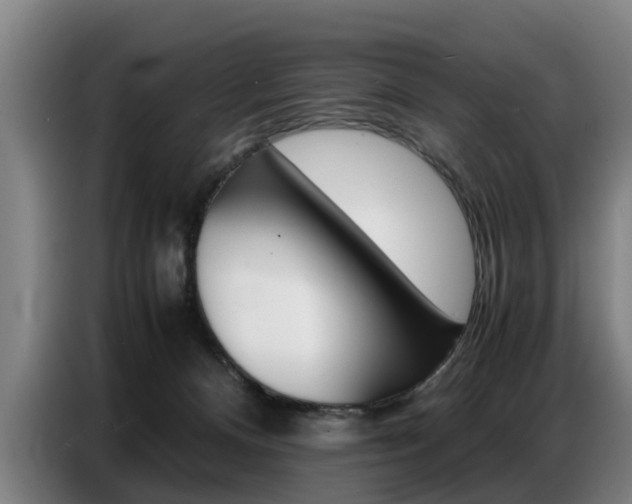 X0000087320128200704200747