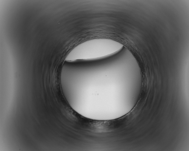 X0000087320136200704200747
