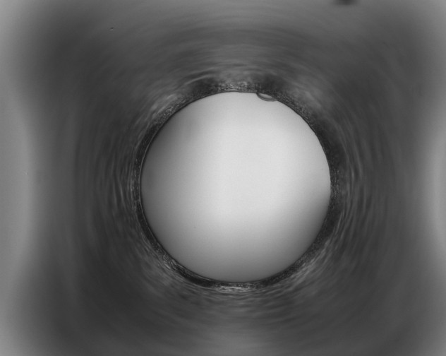 X0000087320139200704200747