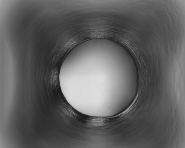 X0000087320144200704200747