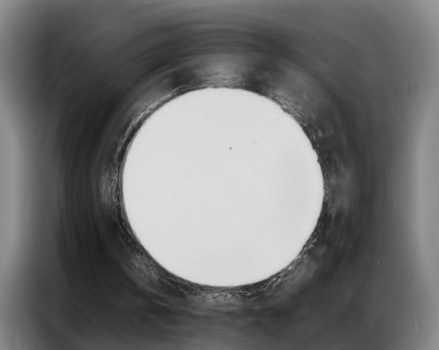 X0000087320146200704200746