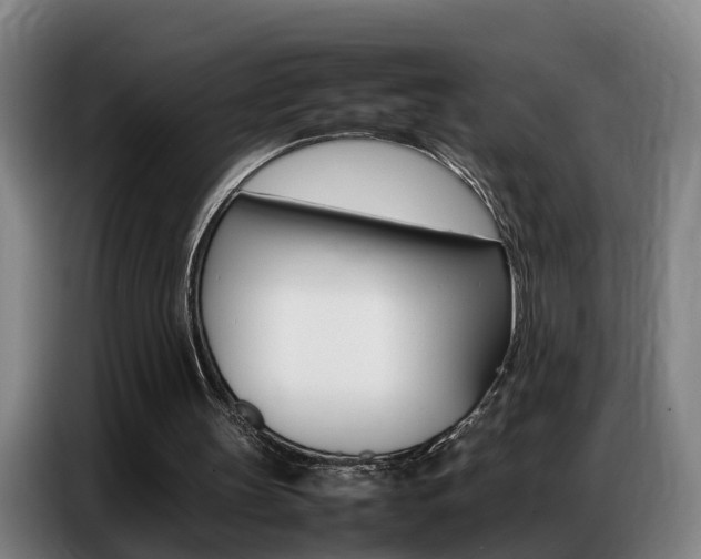 X0000087320147200704200746