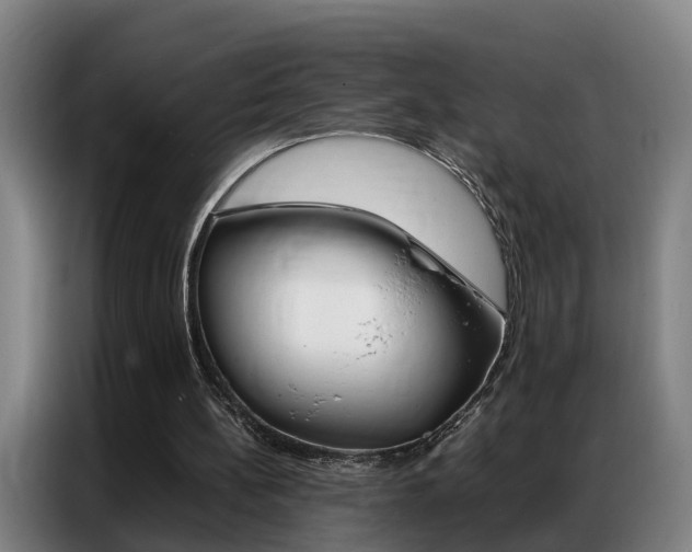 X0000087320148200704200746
