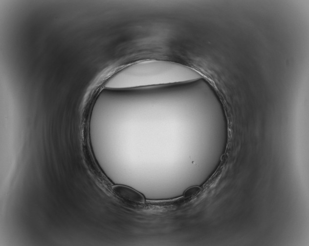 X0000087320149200704200746