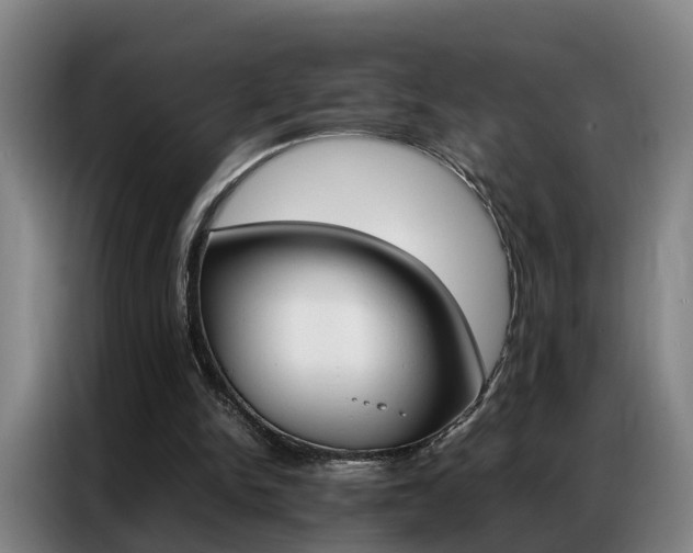 X0000087320150200704200746