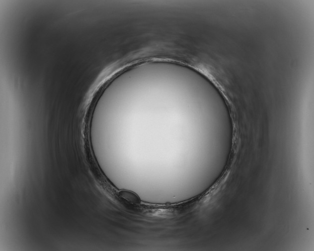 X0000087320151200704200746