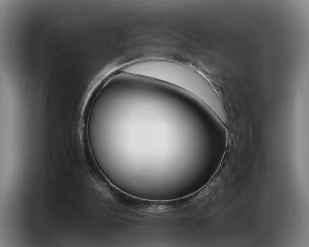 X0000087320152200704200746