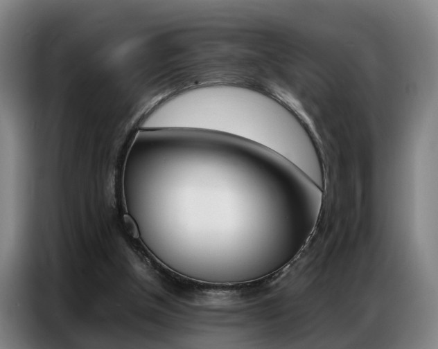 X0000087320154200704200746