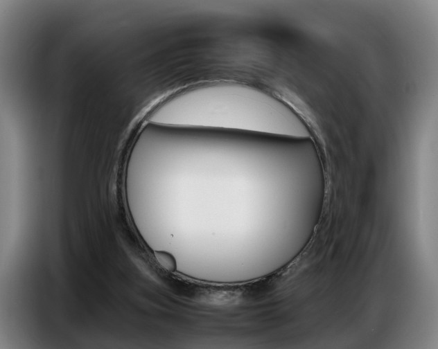 X0000087320155200704200746