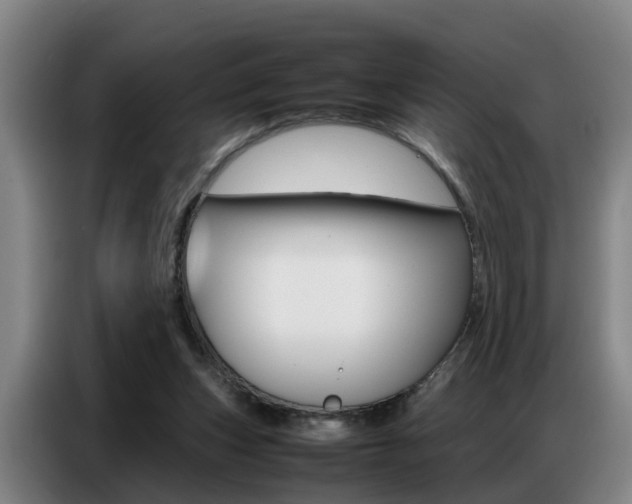 X0000087320159200704200746
