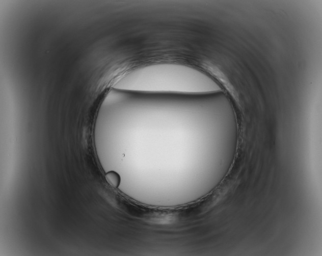 X0000087320161200704200746