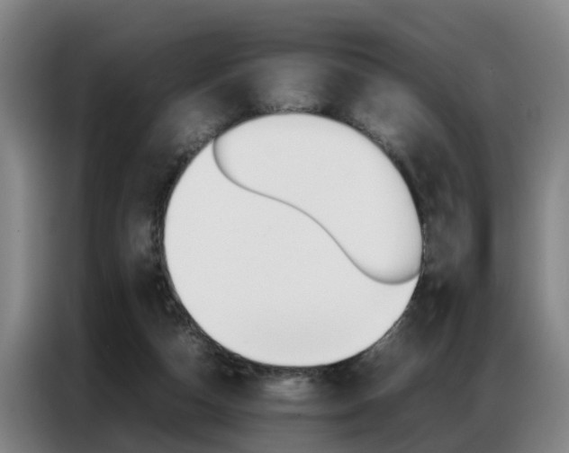 X0000087320162200704200746