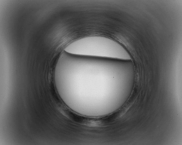X0000087320165200704200746
