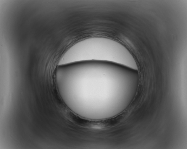 X0000087320169200704200747
