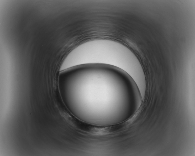 X0000087320170200704200747
