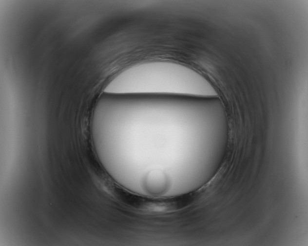 X0000087320171200704200747