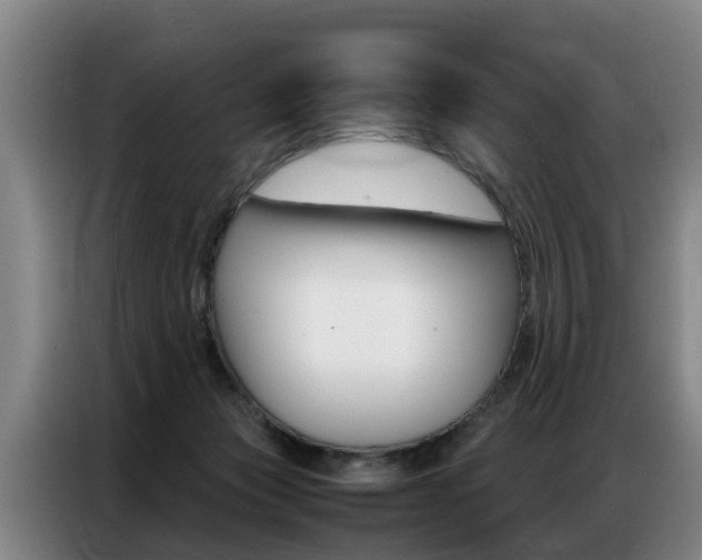 X0000087320173200704200747