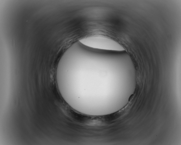X0000087320175200704200747