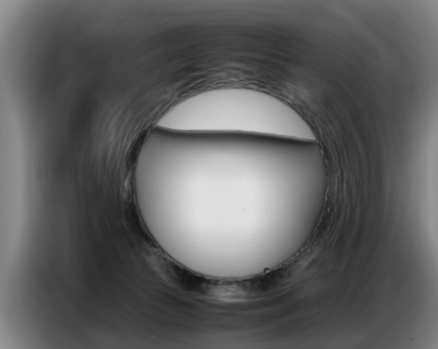 X0000087320177200704200747