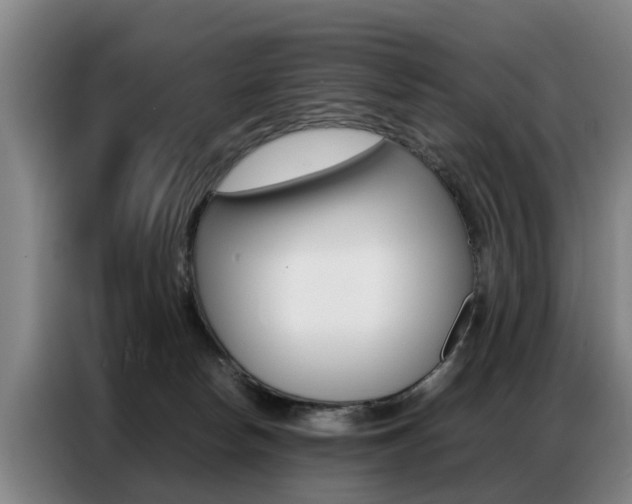 X0000087320178200704200747