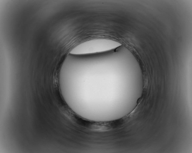 X0000087320179200704200747