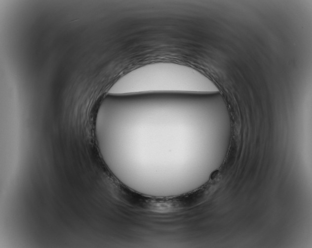 X0000087320181200704200747