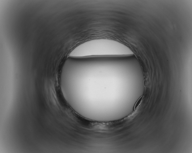 X0000087320182200704200747