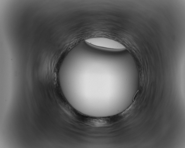 X0000087320183200704200747