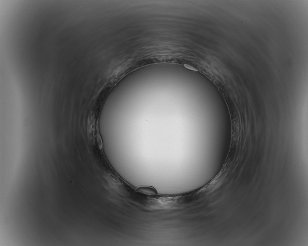 X0000087320184200704200747