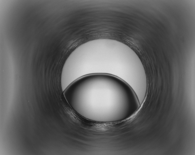 X0000087320190200704200747