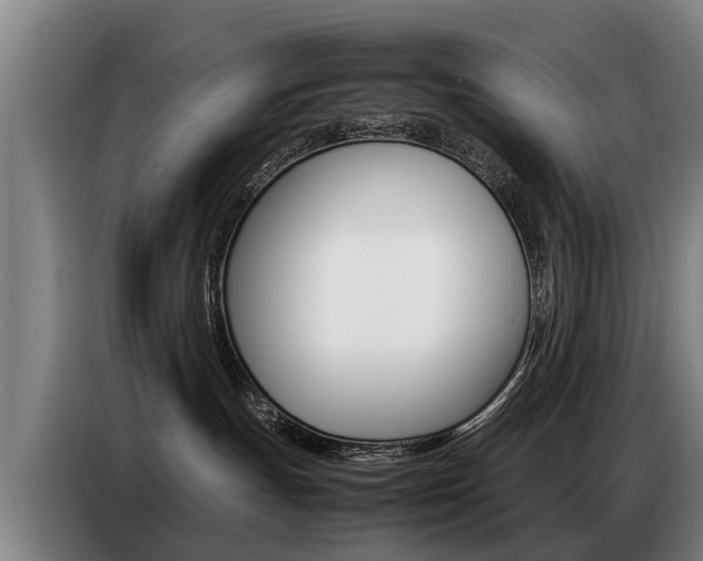 X0000087320191200704200747