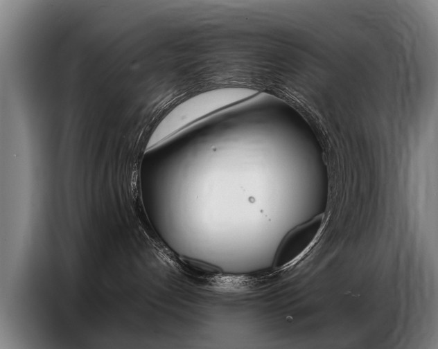 X0000087320192200704200747