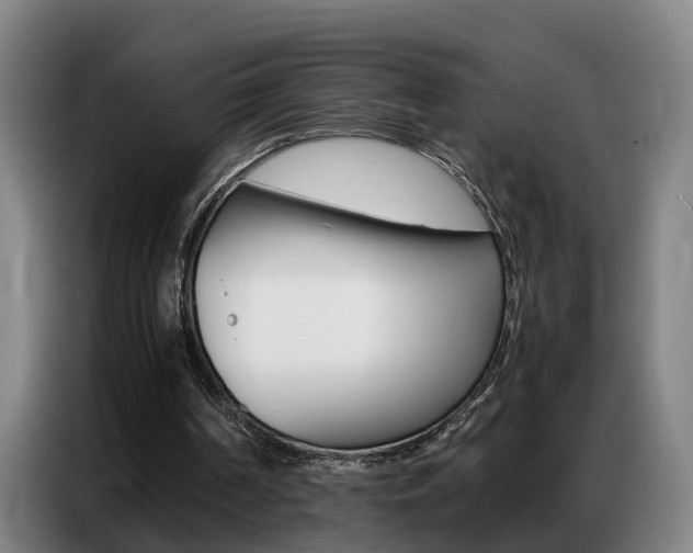 X0000087320194200704200746