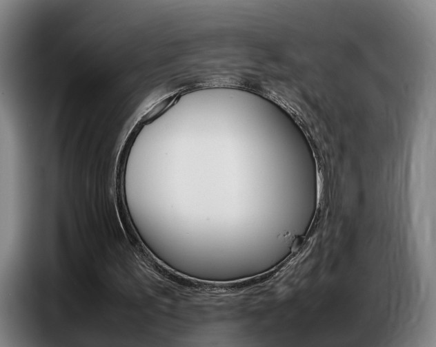 X0000087320195200704200746