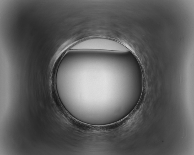 X0000087320199200704200746