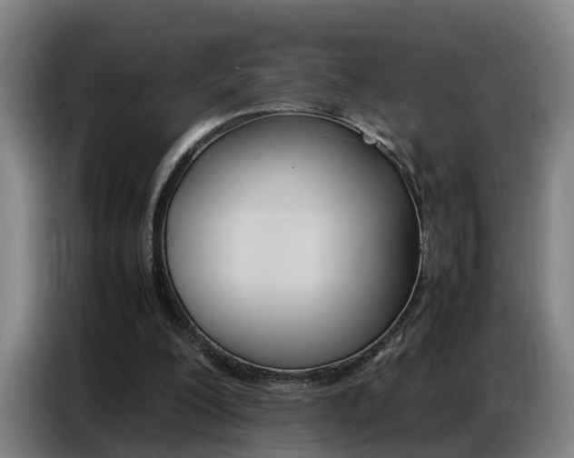X0000087320200200704200746