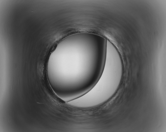 X0000087320201200704200746