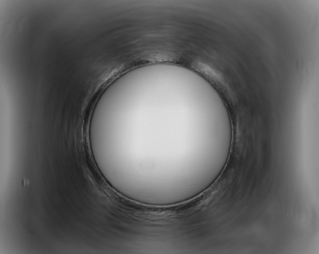 X0000087320202200704200746