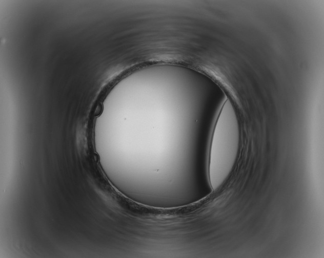 X0000087320204200704200746
