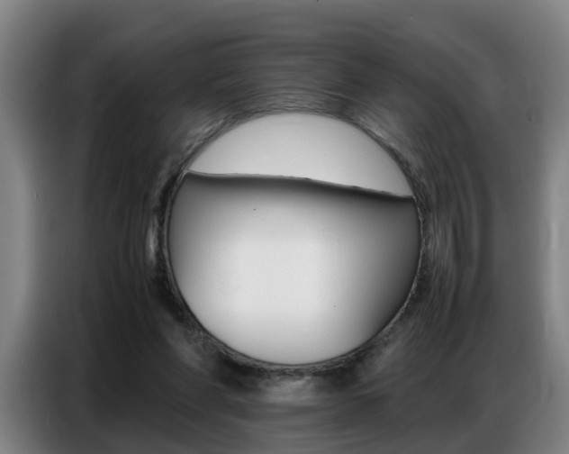 X0000087320206200704200746