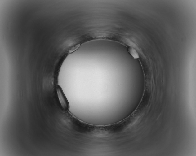 X0000087320207200704200746