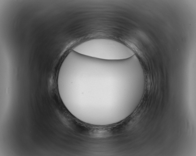 X0000087320208200704200746