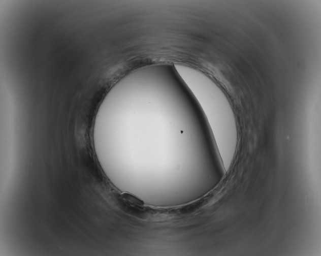 X0000087320209200704200746
