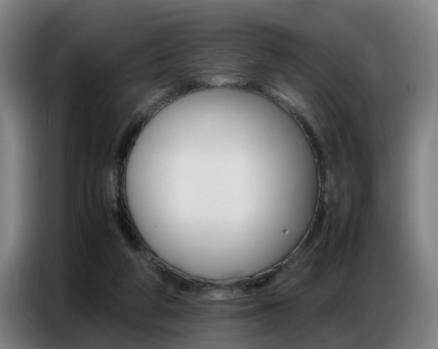 X0000087320210200704200746
